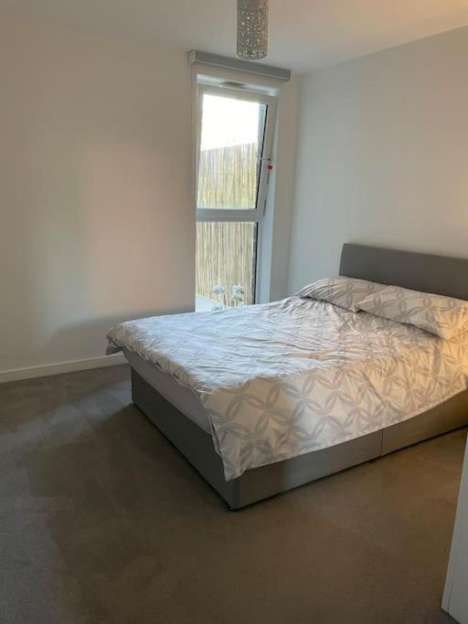 Spacious Apartment In The Heart Of Chelmsford Ngoại thất bức ảnh